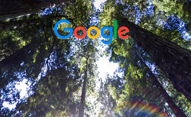 Google's 2025 Environmental Report: Datacenter Efficiency and Cloud Infrastructure Sustainability